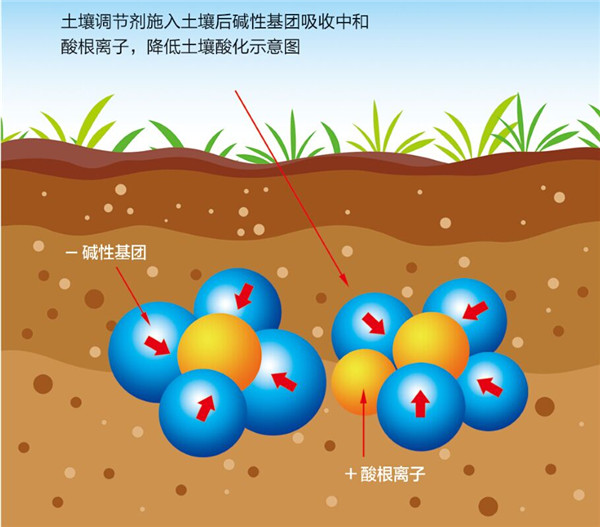 土壤是農(nóng)業(yè)的基礎，保護土壤，從現(xiàn)在開始