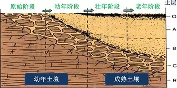 土壤養(yǎng)分檢測(cè)儀工作原理、技術(shù)和方法